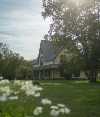 The Historic Yeo House with beautiful trees standing next to it and white flowers in the yard.