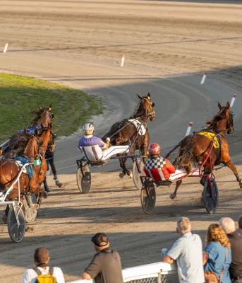 Several horses and their harness racers run around a track at the Charlottetown Exhibition.