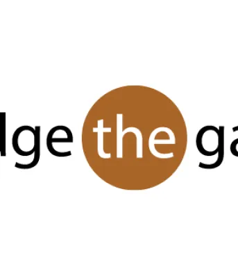 Bridge the gapp Bridge the gapp