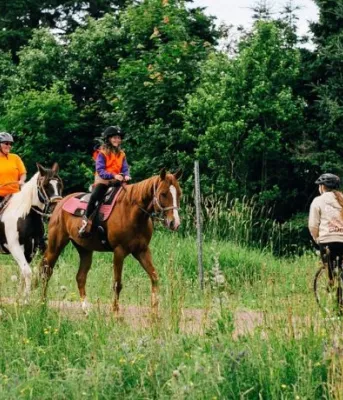 Two people riding horses meet a cycler on a trail