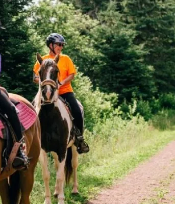two people riding horses while someone walks next to them pushing a bicycle
