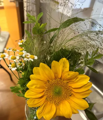 A bouquet of beautiful, sunny flowers