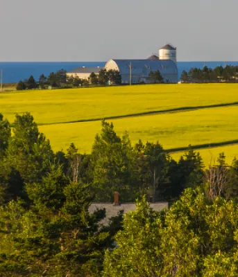 Rural Growth Initiative