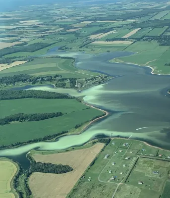 Anoxic Event - Upper Southwest River, August 17, 2021 (photo credit: David Thomas)