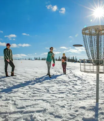 Group of four playing disc golf in winter