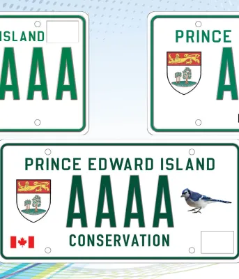 image of three licence plates beside each other