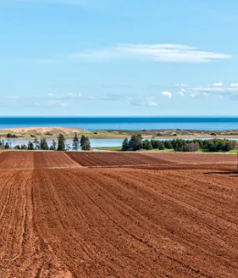 image of two tractors plowing a field