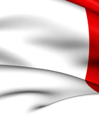 image of Acadian flag