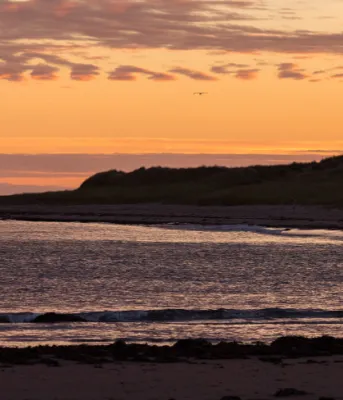 2019 tourism campaign aims to continue momentum Sunset beach scene