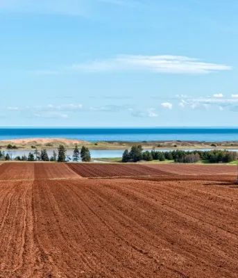 image of two farm tractors plowing a red soil field