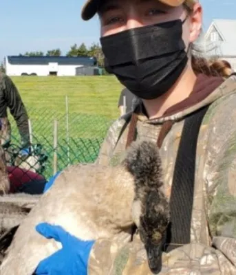 image of girl holding goose
