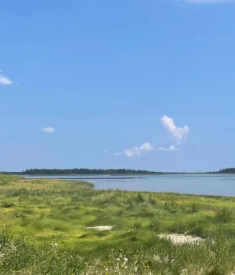 image of a an estuary