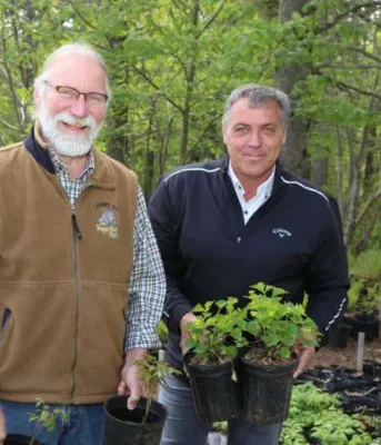 Two people holding tree saplings in small buckets