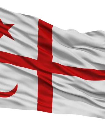 Treaty Day Flag