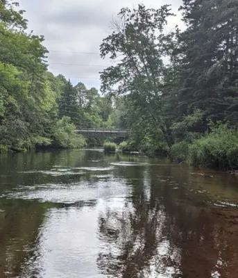 image d'un pont sur une petite rivière