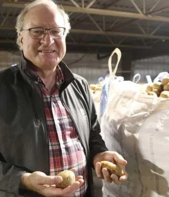Island produce will be donated to Hurricane Irma victims Produce to Florida