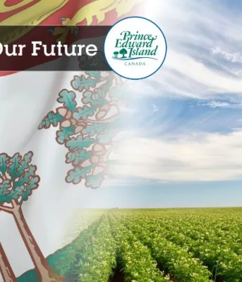 photo of pei flag and a potato field