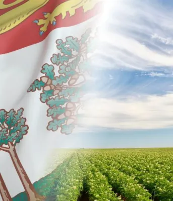 photo of flag