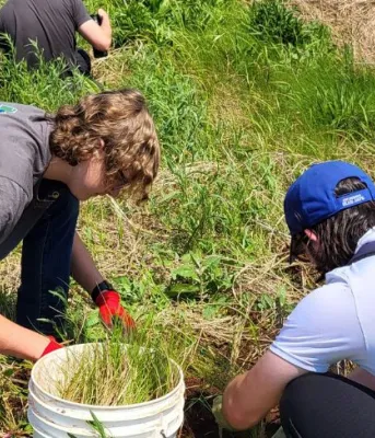 Stratford area watershed group educating the environmentalists of tomorrow image of three people planting grass near a pond