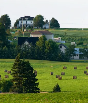Rural PEI landscape 