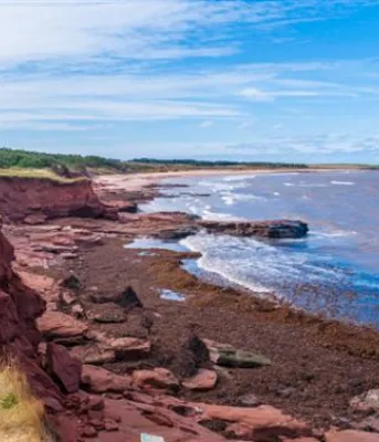 image of a beach shoreline