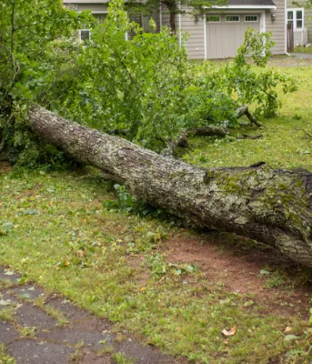 Government assisting Islanders with further debris removal