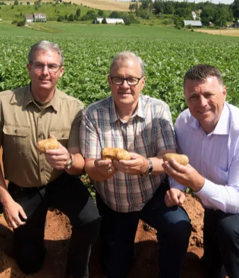 Governments of Canada and Prince Edward Island provide support to potato and horticulture industry Four men side by side holding potatoes in a potato field