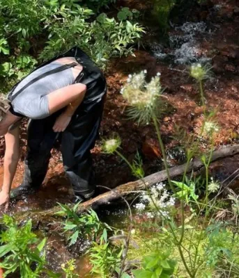 image of a person working in a shallow stream near a culvert