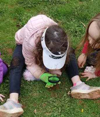 Children looking at insects