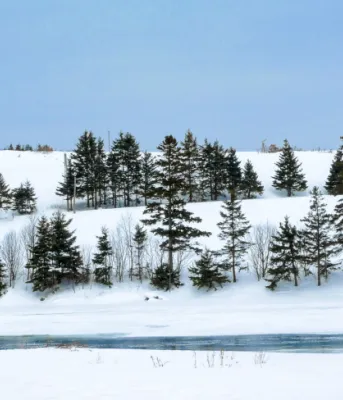 Government and industry introduce winter tourism strategy image of a snowy field with trees and a snow covered river