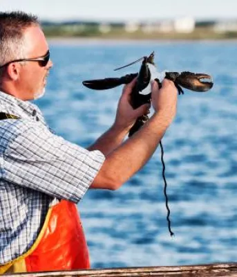person on a boat measuring lobster