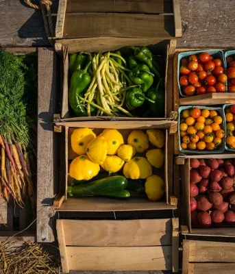 PEI Farm Fresh Vegetables Photo of carrots, peppers, beans, tomatoes, potatoes and squash