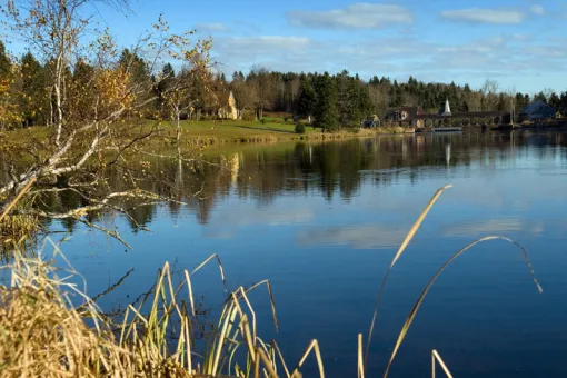 image of a FRESHWATER pond